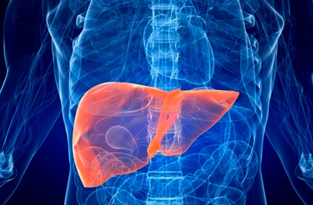 FOTO: Archivo/ El Universal San Luis Potosí