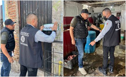 ¡Olores fétidos y condiciones insalubres! Protección Civil clausura rastro clandestino en la capital de SLP