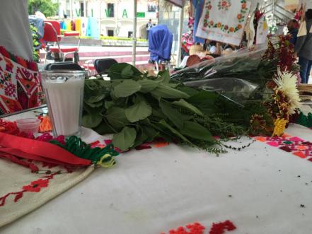 Esteban, médico tradicional que se ha convertido en guardián de las tradiciones y rituales tének