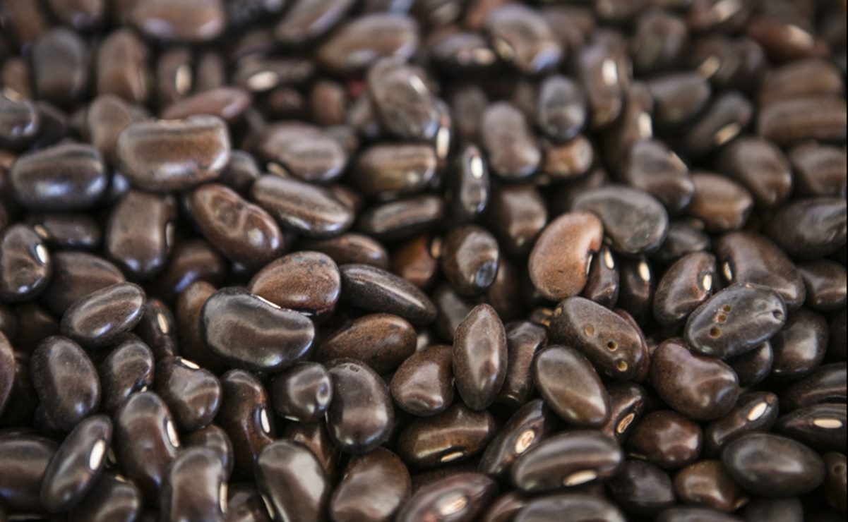 Archivo EL UNIVERSAL