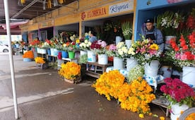 Flores suben hasta 30 por ciento previo al Día de Muertos en el panteón de El Saucito