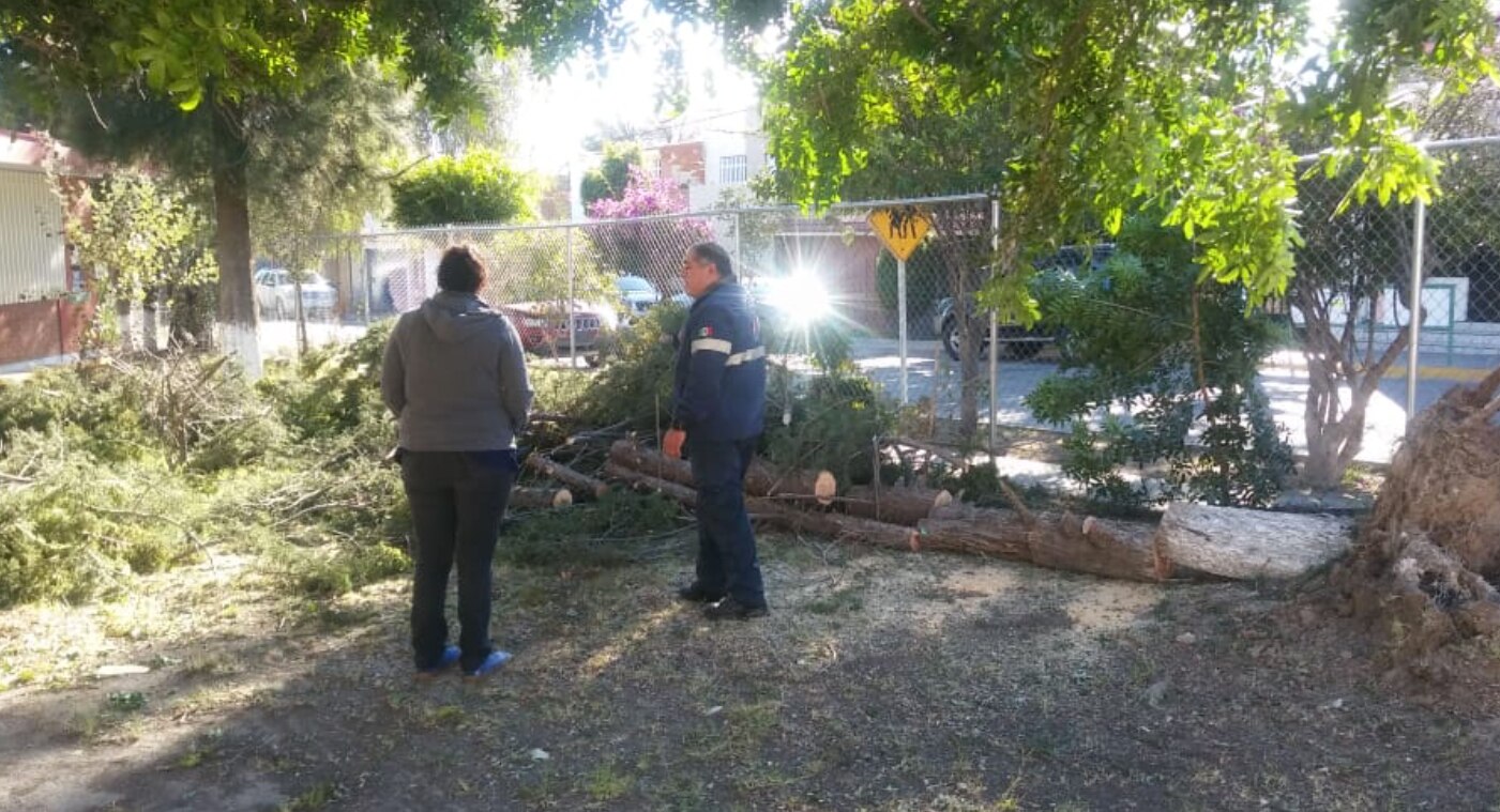 Por fuertes vientos, Protección Civil otorgó 61 servicios