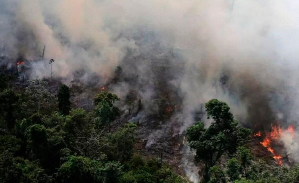 Protestan en varias ciudades europeas para salvar la Amazonia "en llamas"