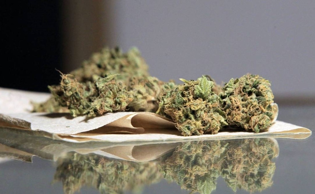 Morena va porque el Estado compre y venda cannabis