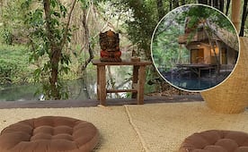 Rancho Tansajib: así es el singular campamento de bambú en la Huasteca potosina