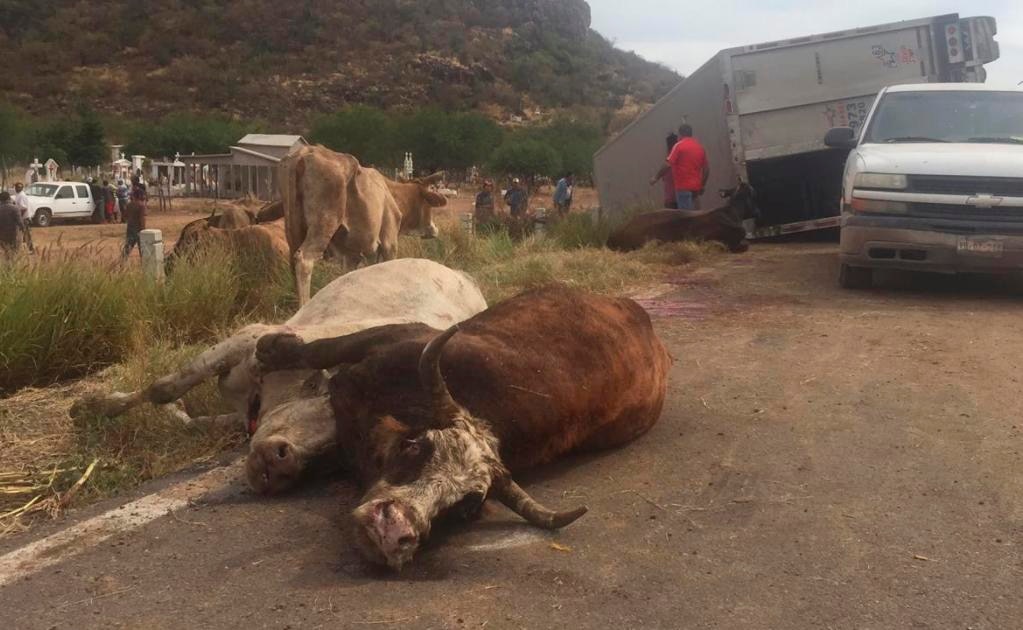 Acusan a dos de robar ganado en Santa María del Río 