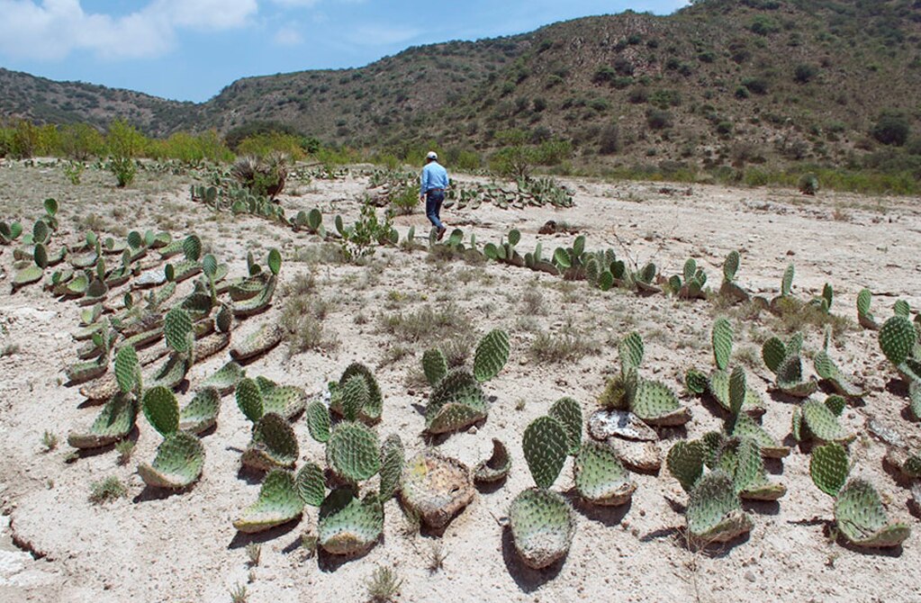 Tierras que venderemos a inmobiliarios no nos sirven para nada: comuneros de San Juan de Guadalupe