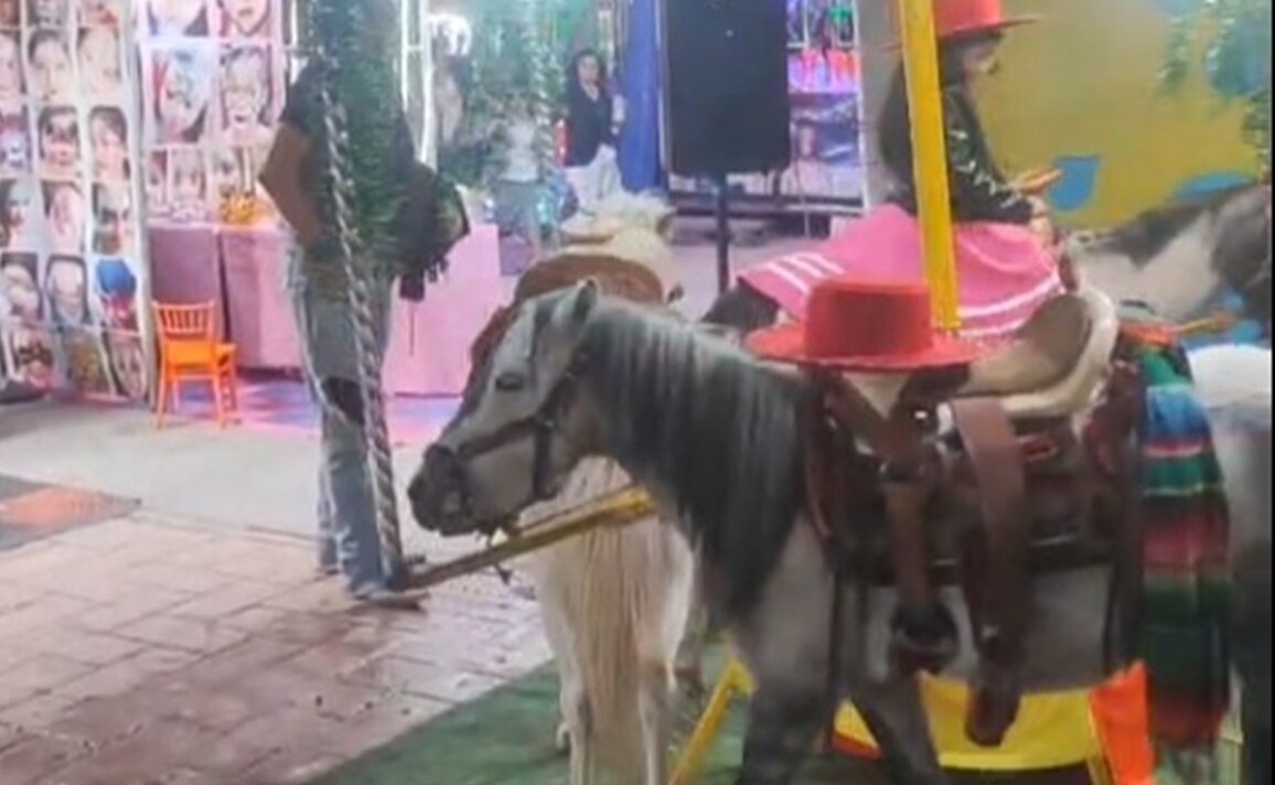 Carrusel de ponis en la Fenapo 2025 sigue operando; gobierno de SLP ordena supervisión de un veterinario