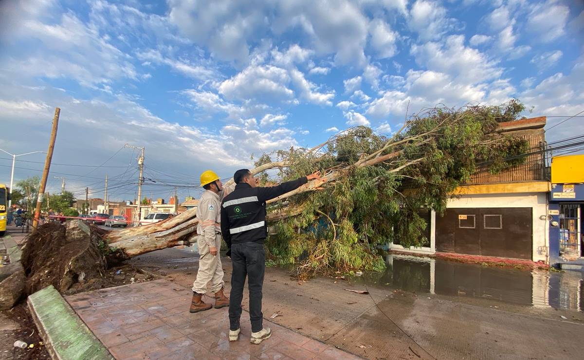 Lluvias del fin de semana en SLP causaron estragos en viviendas y vehículos 