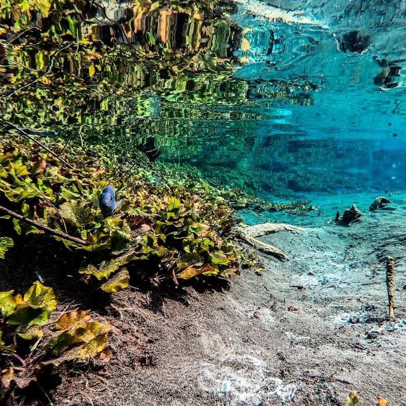 En Los Peroles hay bellísimas aguas cristalinas
