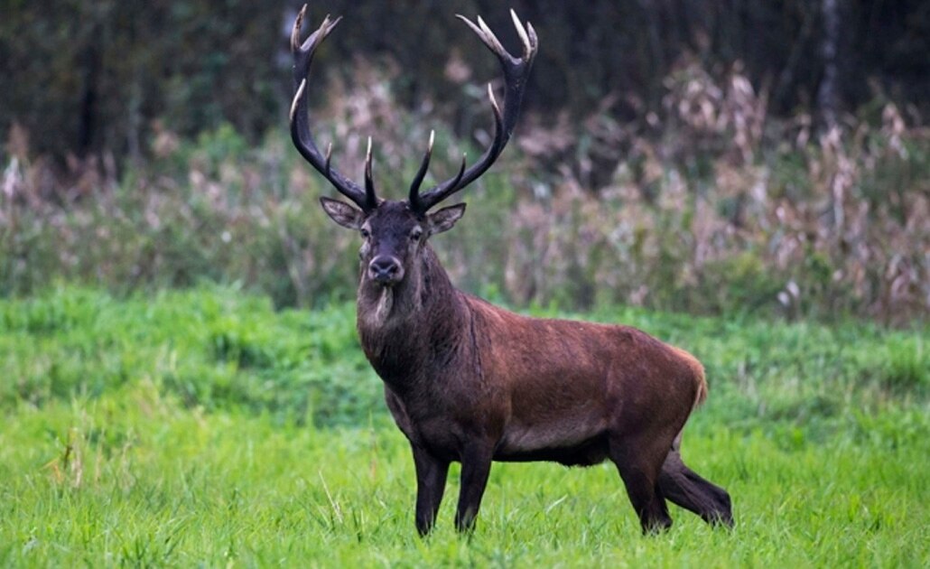 Foto: Reuters | El Universal