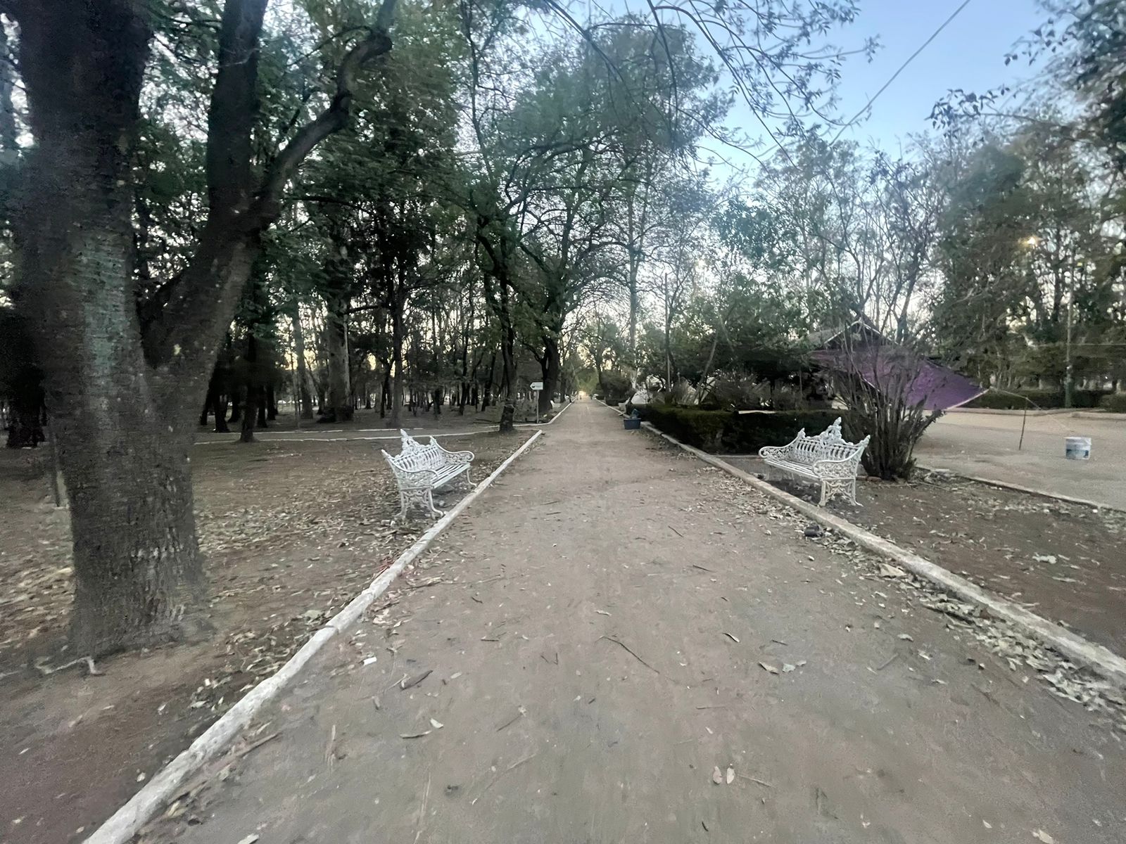 Foto: Nancy Lizet Hernández