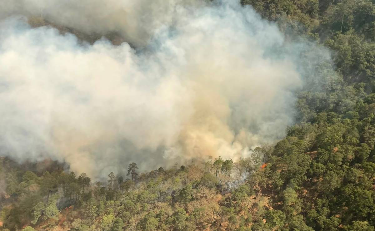 Combaten nuevo incendio forestal en SLP, ahora en Santa María del Río