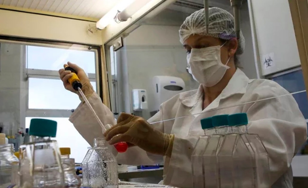 ¿Qué es el arenavirus, la enfermedad letal que regresó a Brasil?