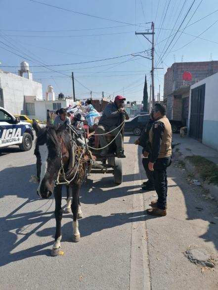 Rescatan a caballos usados por carretoneros de basura en Soledad