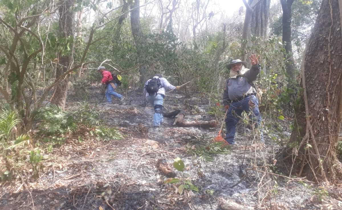 Sofocan al menos 10 incendios en la Huasteca Potosina