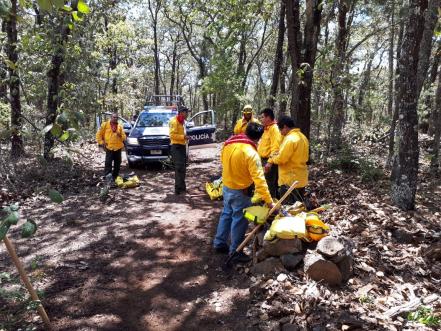 Se mantienen activos 4 incendios en SLP
