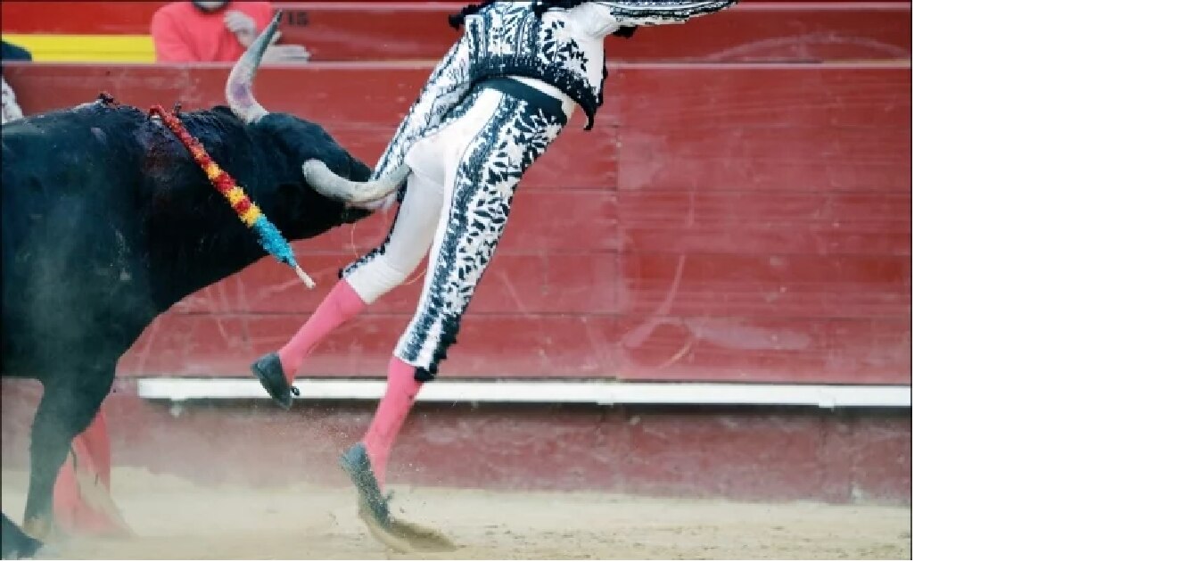 Impresionante cornada al torero Enrique Ponce