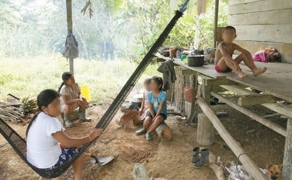 “Los decapitaron”: perdió a su familia a manos de secta