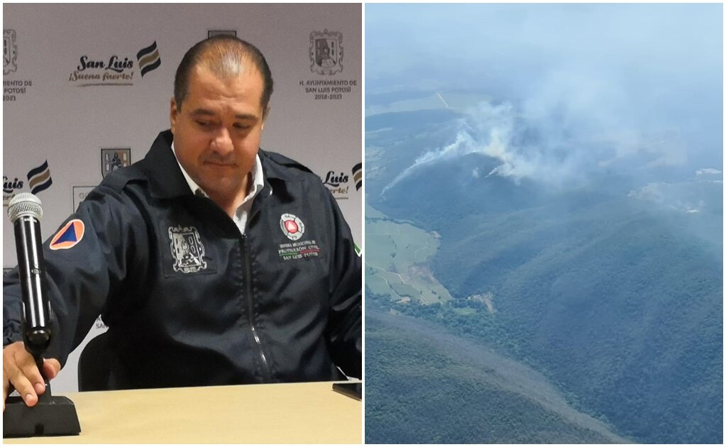 Reforestada, 40% del área de Sierra de San Miguelito a 2 años de incendio