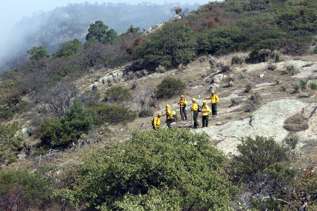 Suman 50 incendios en la temporada en SLP