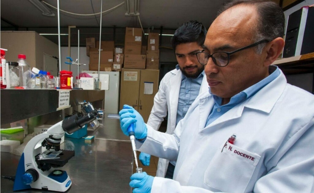  Investiga IPN origen de la preclampsia, principal causa de muerte materna