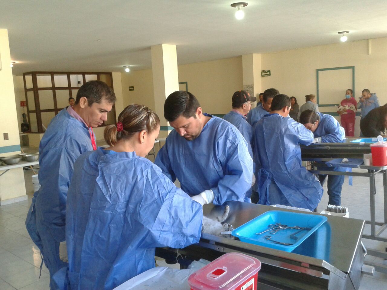 Cierra campaña de vacunación y esterilización canina