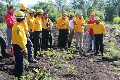 Reportan disminución de incendios forestales 