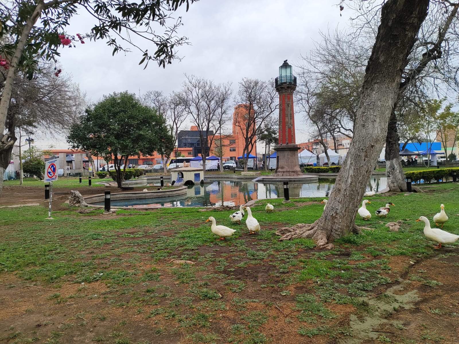 Foto: Regina Arellano