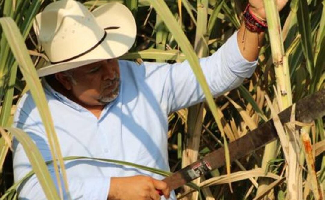 González Castillo refirió que incluso hay personas ligadas al sector cañero a la que se le ha brindado protección especial. Foto: Ilustrativa EL UNIVERSAL