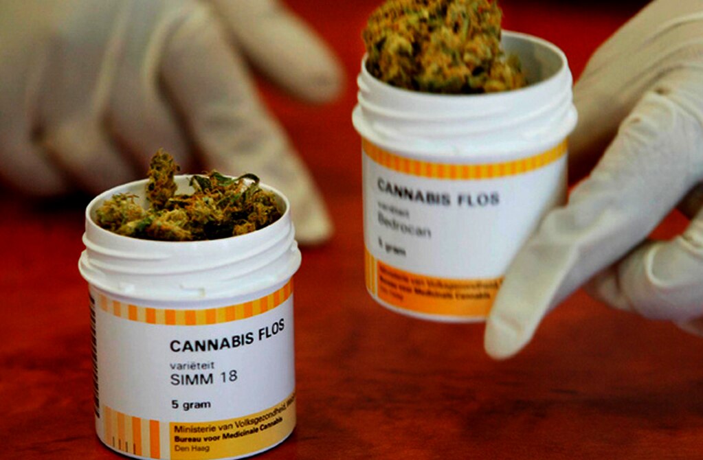 Uso medicinal de cannabis ¿Una realidad en SLP?