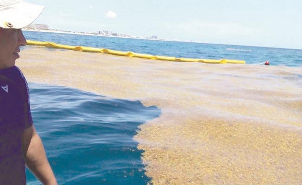 El gobierno estatal ha instalado los primeros 300 metros de la valla a la altura de Punta Nizuc, de los 27 kilómetros que se contemplan para contener el sargazo. Foto: CORTESÍA GOBIERNO DE QUINTANA ROO