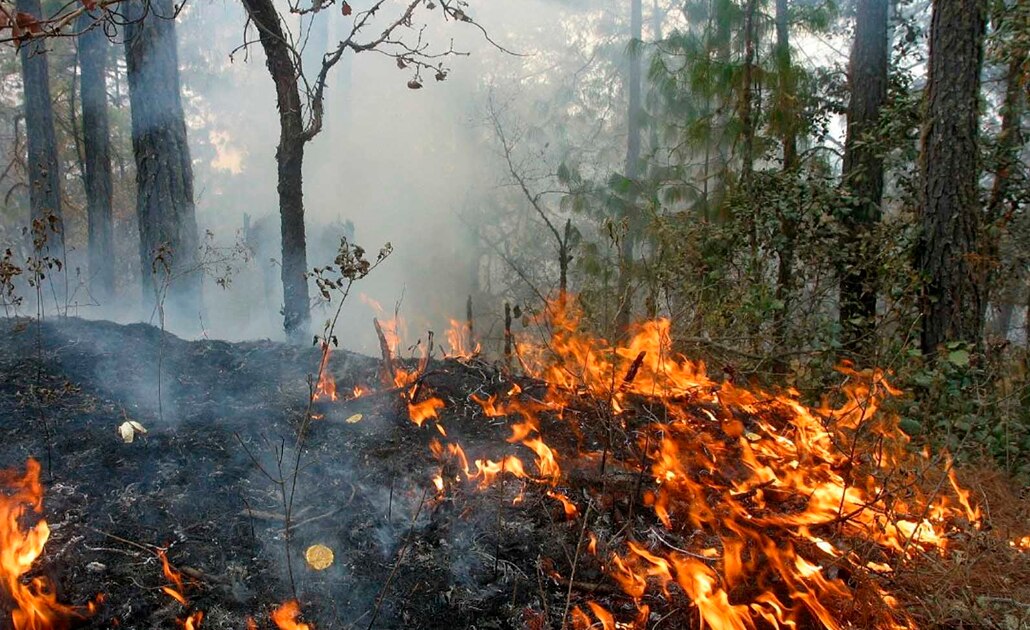Casi 2 mil incendios en lo que va del año en SLP