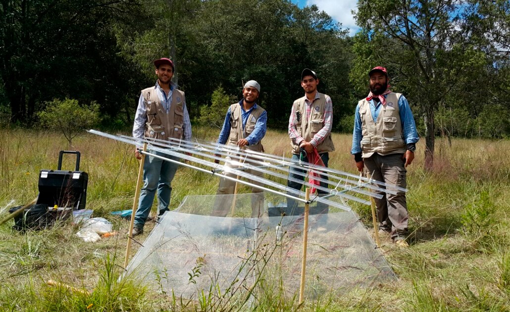 Sierra de Álvarez perderá especies de árboles por cambio climático: IPICYT