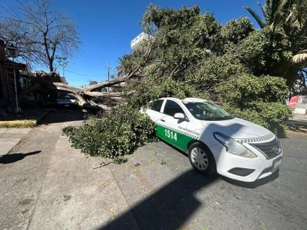 Fuertes vientos y temperaturas bajo cero, el pronóstico del clima en SLP