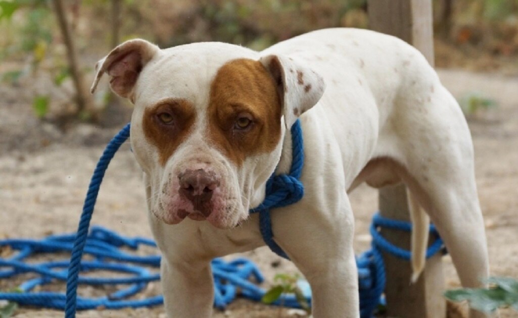 Foto Ilustrativa/ El Universal