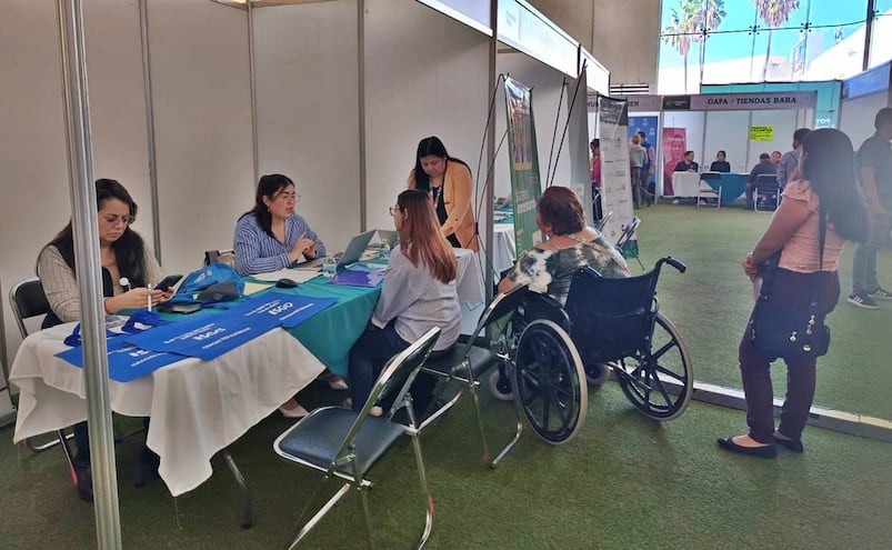 Empresas incumplen contratación de personas con discapacidad: STPS