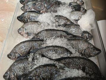 Cuaresma 2025: Estos son los precios del pescado y camarón en San Luis Potosí