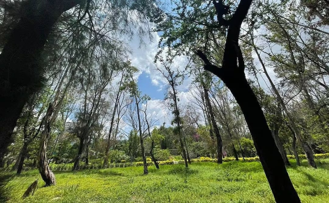 Estiman que este año quede la rehabilitación del parque Morales de SLP. Foto: Archivo