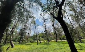 Este 2026 podría consolidarse transformación y rehabilitación del parque de Morales de SLP: Galindo