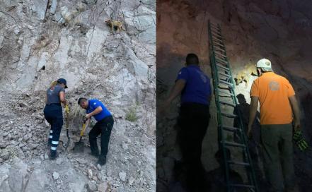 Rescatan a lomito atrapado en un cerro de la Cañada del Lobo en San Luis Potosí