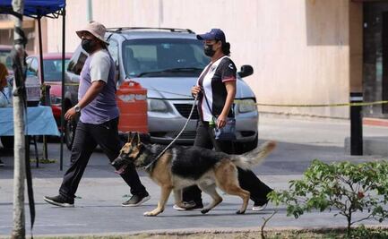 Se suma SLP a la marcha nacional por los derechos de los animales