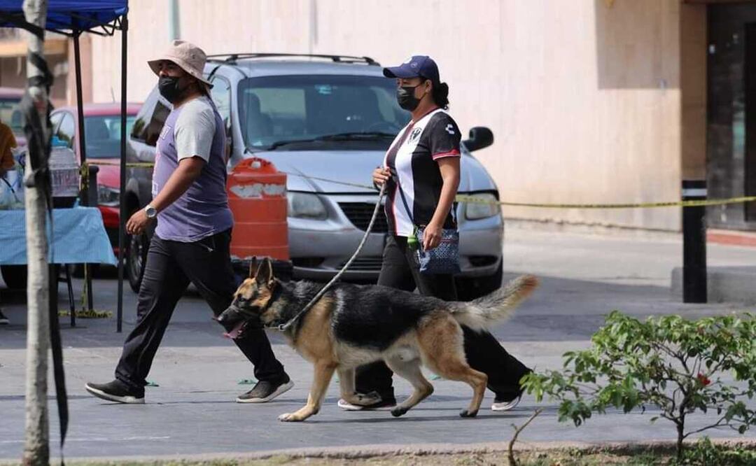 Se suma SLP a la marcha nacional por los derechos de los animales. Foto: Especial