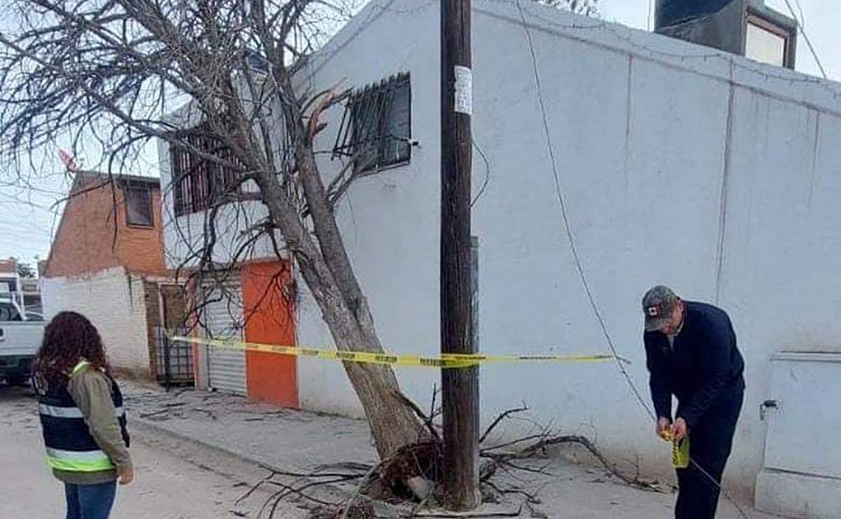 Alertan de posibles ventarrones en Soledad por Tormenta Tropical “Alberto”