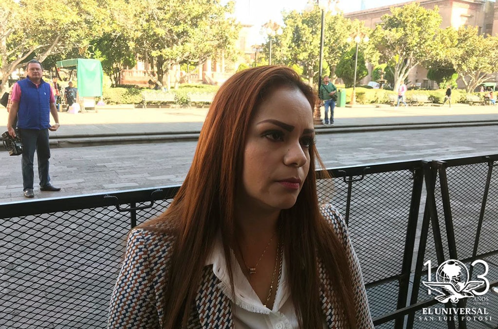 Proyectan 70 nuevas empresas en Villa de Reyes 