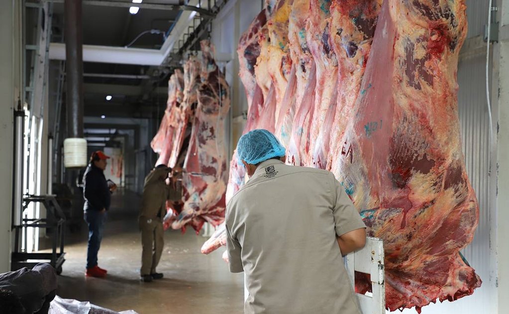 Niegan que casos de detección de carne con clembuterol sean del rastro de Peñasco