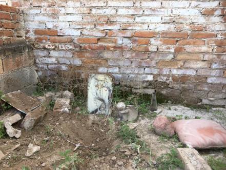 Inhumación canina provoca movilización