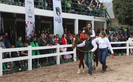 Inauguran Centro Estatal de Equinoterapia en SLP; atenderá a 16 pacientes semanalmente