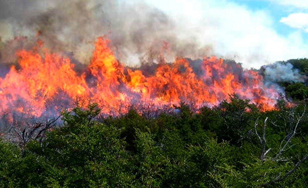 Reporta Protección Civil 20 incendios en lo que va del año