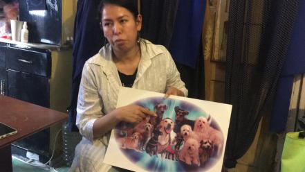 "Hola, soy Napoleón": un perrito rescatado se convirtió en emprendedor en el barrio San Miguelito